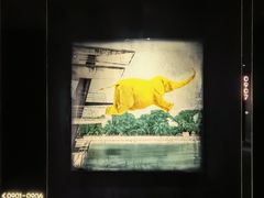-尼依格罗香港美利酒店