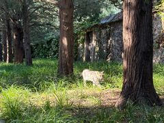 -香山公园