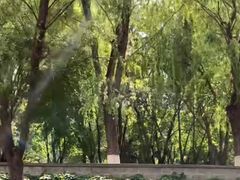 -皇家御河游(紫御湾码头)