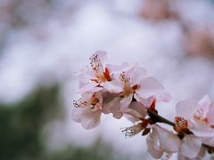 -北海公园