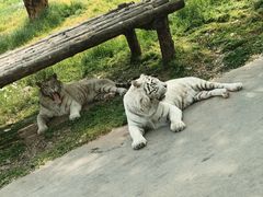 -西安秦岭野生动物园