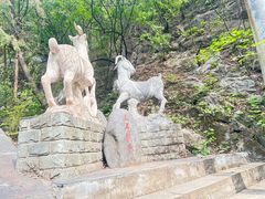 -圣莲山风景区