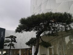 -罗红摄影艺术馆