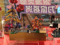 -乐高授权专卖店(中关村领展店)