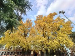 -四川大学(望江校区)