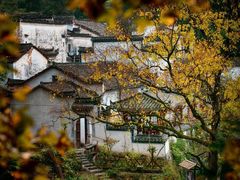 -塔川景区