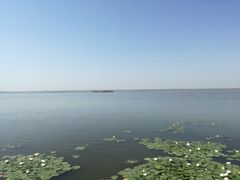 -哈素海