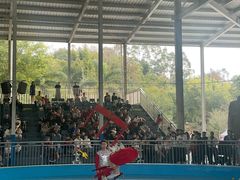 -泉州海丝野生动物世界