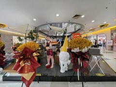 -野人先生Gelato(上海长宁龙之梦店)