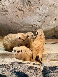 -Zoolung Zoolung动物主题公园(海信广场店)