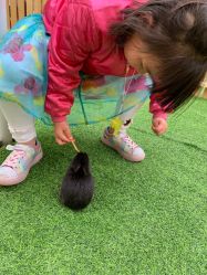 -萌宠亲子动物乐园(槐房万达店)