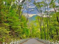 -九鼎铁刹山风景区