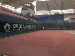 -朝阳公园体育中心