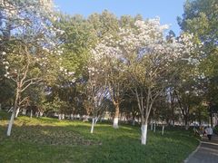 -范蠡湖公园