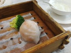 -鹅城