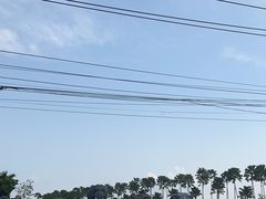 -东芭乐园