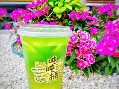 -桂桂茶(恒基名人店)