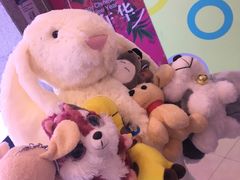 -PAWTOY爪e玩偶店(天兴罗斯福店)