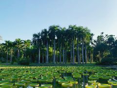 -中国科学院西双版纳热带植物园