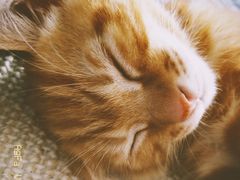 -沃尔玛购物广场(鸿通城店)