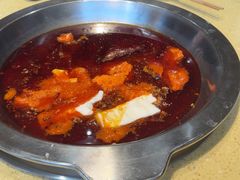 -田鸭肠·非遗火锅(彭州店)