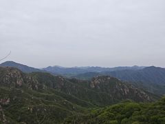 -大岭沟猕猴桃谷风景区