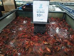 小龙虾-盒马鲜生(皇庭广场店)