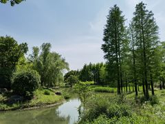 -贡湖湾湿地公园