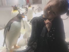 -大连圣亚海洋世界