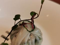 -觀芷隐轩