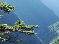 -凤凰山国家森林公园