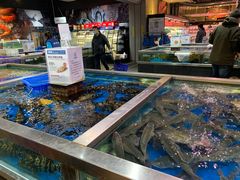 水产区-盒马鲜生(红莲店)