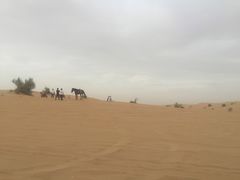 -迪拜沙漠冲沙