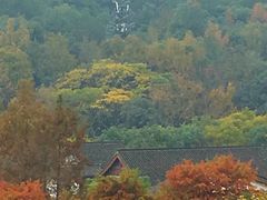 -西湖风景区-江洋畈生态公园