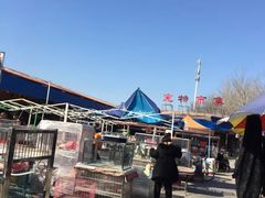 -中环花鸟鱼虫市场