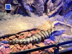 -酷嗒动物文化乐园(cutezoo西溪乐天城店)