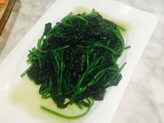 -欢乐海岸美食联盟