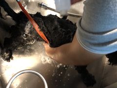 -PETKIT小佩宠物·低压洗护(国顺东路店)