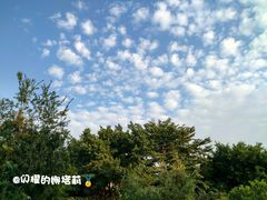 -小洲村