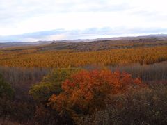 -塞罕坝国家级自然保护区