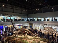 -自贡恐龙博物馆