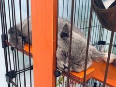 -iF摄影•全家福•证件照•形象照(南山店)