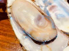 -烧蠔帮·湛江生蚝(南桥店)