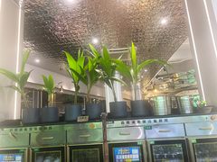 -探窝·竹笙椰子鸡(杨箕店)