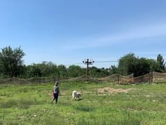 -乌素图国家森林公园