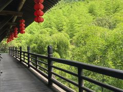 -大唐贡茶院