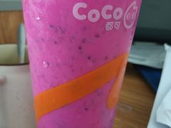 -CoCo都可(文星广场店)