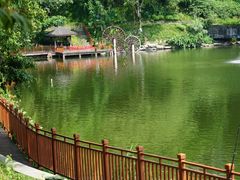-重庆彩云湖湿地公园
