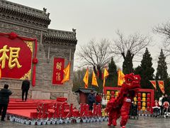 -大槐树寻根祭祖园