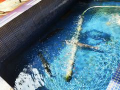 -鸿渡渔庄·特色鸭咀鱼